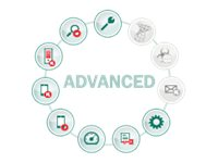 Kaspersky Endpoint Security for Business - Advanced - Förnyelse av abonnemangslicens (1 år) - 1 nod - volym - Nivå M (15-19) - Win - Europa KL4867XAMFR