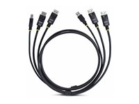 StarTech.com 6ft (1.8m) Dual-DisplayPort and USB 5Gbps KVM Cable - Tangentbords-/video-/muskabel - DisplayPort, USB typ A (hane) till DisplayPort, USB Type B (hane) - 1.83 m - 4K60Hz stöd, HDR10-stöd - svart DDU1226-KVM-CABLE
