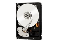 WD RE WD3000FYYZ - Hårddisk - 3 TB - inbyggd - 3.5" - SATA 6Gb/s - 7200 rpm - buffert: 64 MB - för My Cloud EX4 WD3000FYYZ