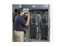 APC Preventive Maintenance Visit - Tekniskt stöd - förebyggande underhåll (för UPS 40 kVA) - 1 incident - på platsen - för P/N: AMRUPS, E3SUPS10KFBS, E3SUPS15KFBS, E3SUPS20KFBS, E3SUPS30KFBS, E3SUPS40KFBS WSAPMV-UG-01